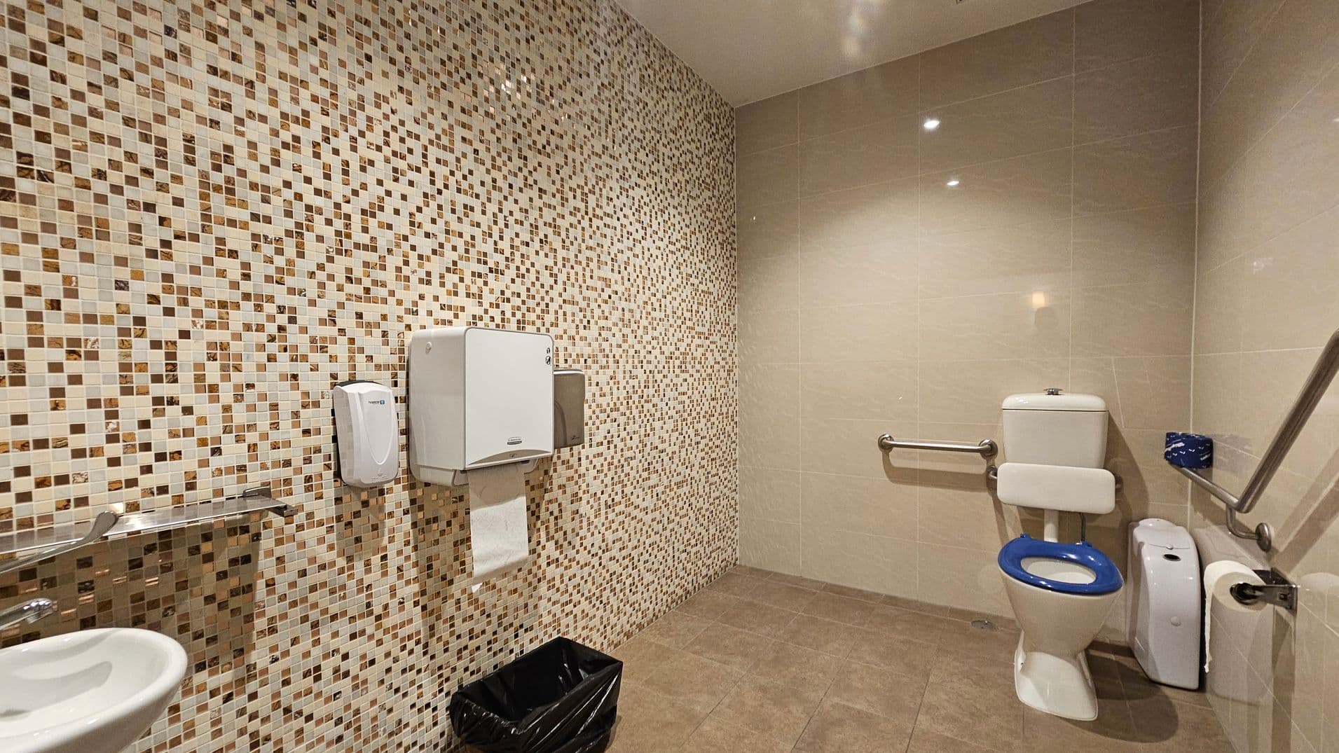 A public toilet with a mosaic-tiled wall on the left, featuring a small sink, a soap dispenser, and a paper towel dispenser. Below is a black waste bin. On the right, a toilet with a blue seat is equipped with grab bars for accessibility. The floor is tiled in a light brown colour, and the ceiling is plain with recessed lighting.