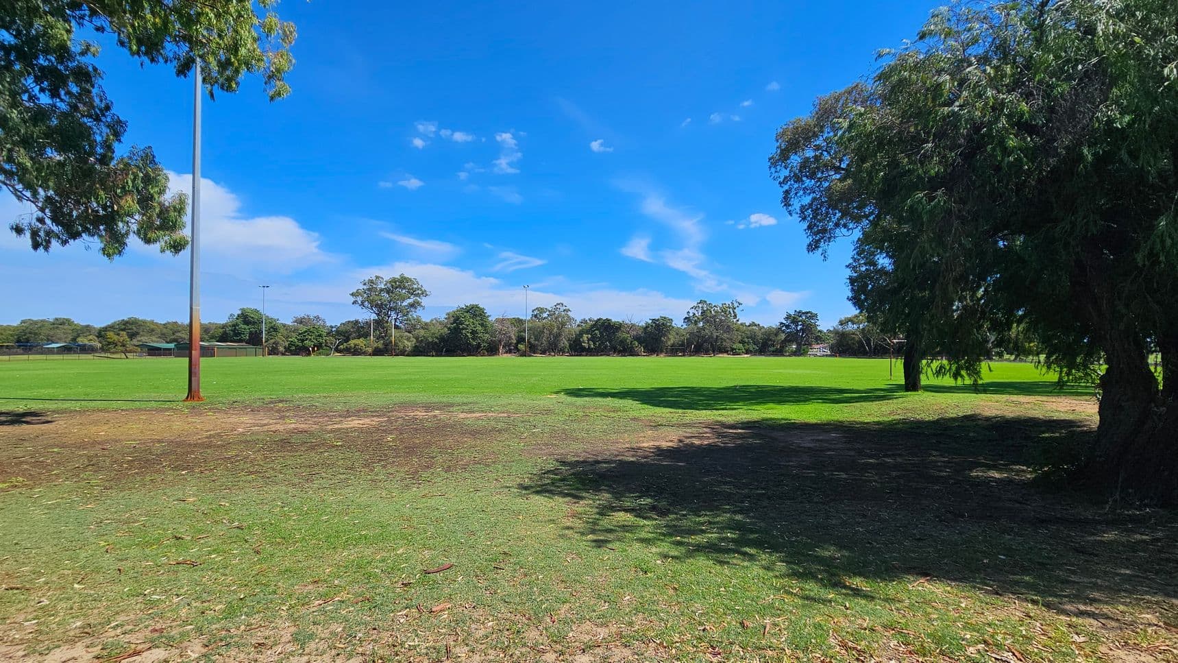 A grassy field with a tall light pole on the left. The foreground has patches of dry grass and scattered leaves. On the right, a large tree casts a shadow on the ground. In the background, more trees line the horizon, and another light pole is visible. The scene is well-lit, suggesting a sunny day.