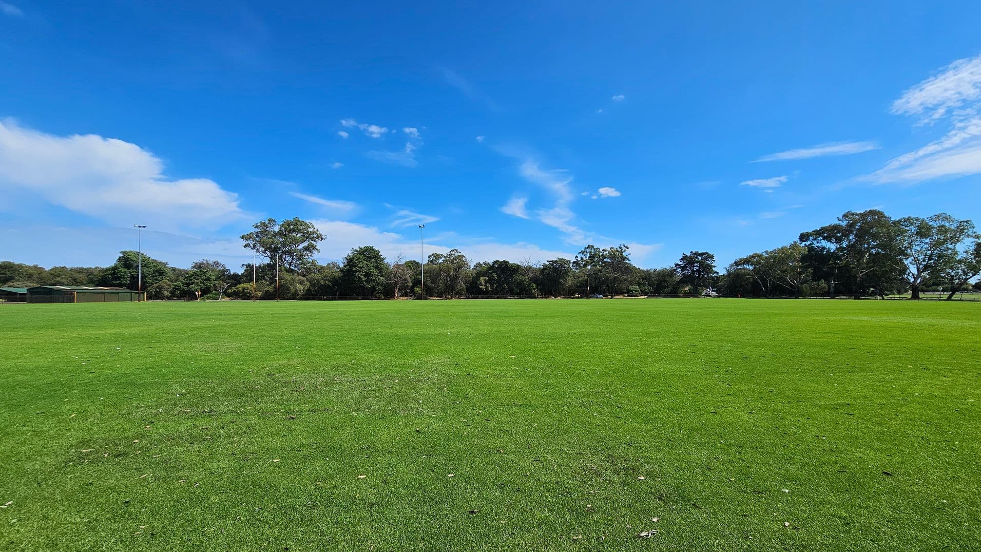 A wide expanse of green grass stretches across the foreground. In the background, there are several trees and a few tall light poles. To the left, a green building is partially visible, surrounded by more trees. The sky is clear with a few scattered clouds.