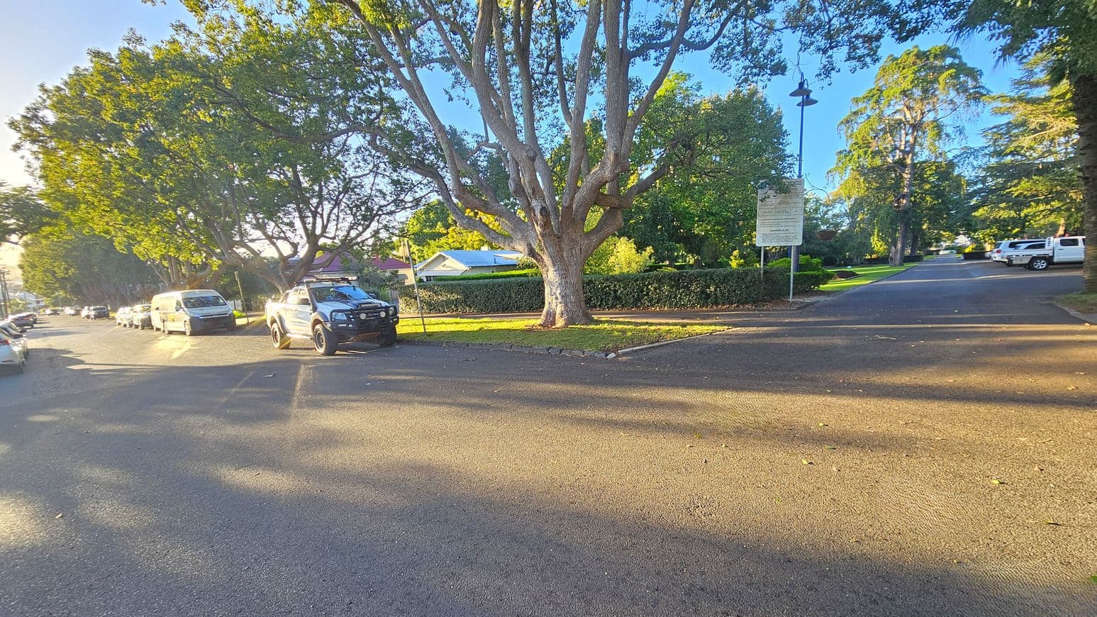 A street scene with a large tree in the centre, surrounded by parked vehicles. On the left, several cars are lined up along the road, partially shaded by trees. On the right, a white vehicle is parked near a signpost. The background features a hedge and a house with a sloped roof. The road is wide and the area is well-lit, with sunlight casting shadows on the pavement.