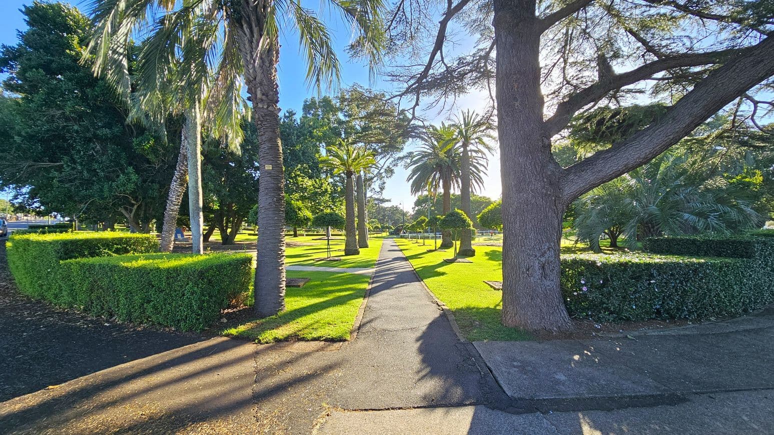 A paved path runs through the centre of a park, flanked by neatly trimmed hedges and tall palm trees. On the left, dense green foliage and a variety of trees provide shade. On the right, a large tree with a thick trunk stands prominently, with more palm trees and manicured bushes in the background. The grass is well-maintained, and sunlight filters through the trees, casting long shadows on the path.