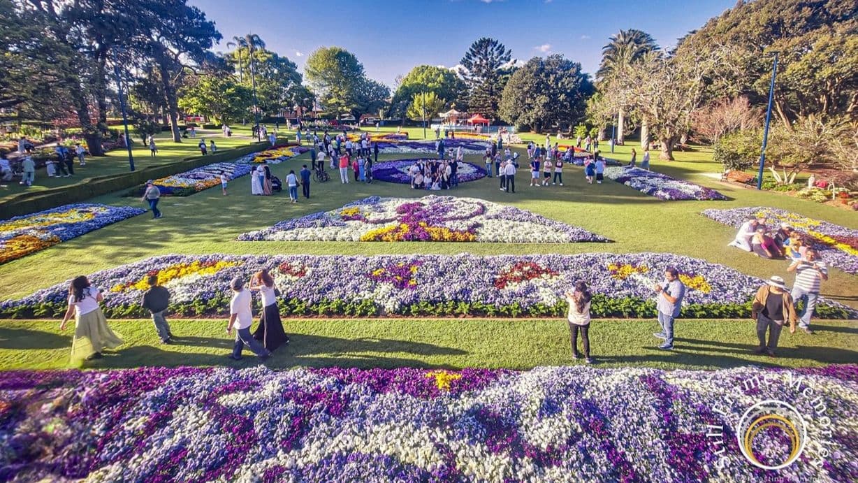 A vibrant garden scene with colourful flower beds arranged in intricate patterns across a well-maintained lawn. People are walking and gathering around the flower displays, enjoying the scenery. Tall trees and lush greenery surround the garden, providing a natural backdrop. The sky is clear, and the area is well-lit, suggesting a sunny day.