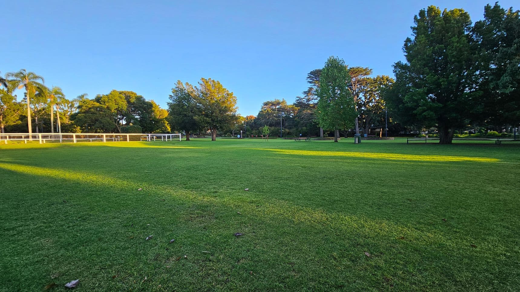 A grassy park with a large open field in the foreground. On the left, there are tall palm trees and a white fence. In the middle, scattered trees of various sizes provide shade. On the right, larger trees create a dense canopy. Benches and a bin are visible among the trees. The sunlight casts long shadows across the grass, indicating early morning or late afternoon.