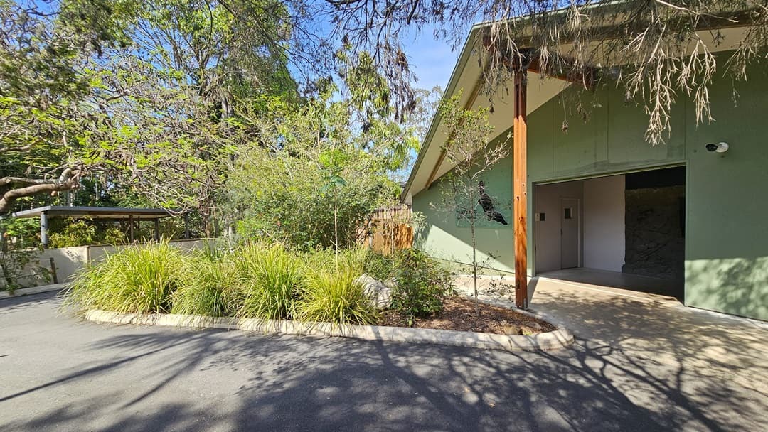 Pathway leading to the entrance of the platypus enclosure. A sizable garden filled with ornaments is prominent in the middle. On the right, the enclosure is apparent. The building has mint green walls. On its left, an image of a platypus is prominent. A functional CCTV is situated on its right.