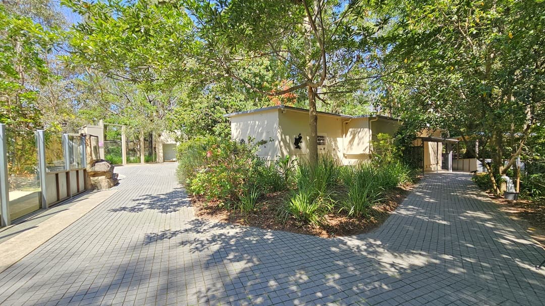 Two brick pathways leading to the amphibian and reptile habitat. Between the two pathways, small plants and a sizable tree in the center are noticeable. Behind the tree, the yellow building with an image of a frog on the wall is prominent. On the left, wall barriers are apparent.