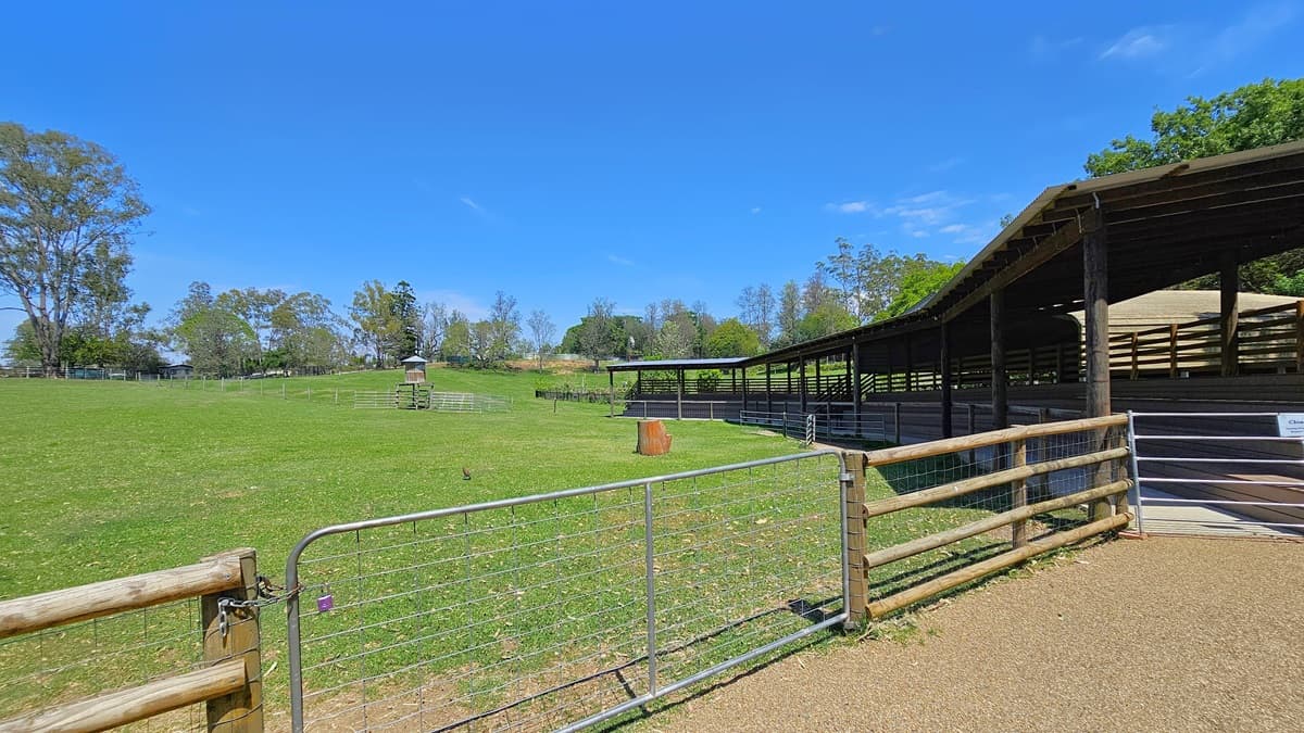To the left is an animal enclosure with a wooden and chain metal fence, housing a wooden structure. On the right is a shaded structure enclosed by a wooden fence with a metal gate. The area is surrounded by green grass and tall trees.