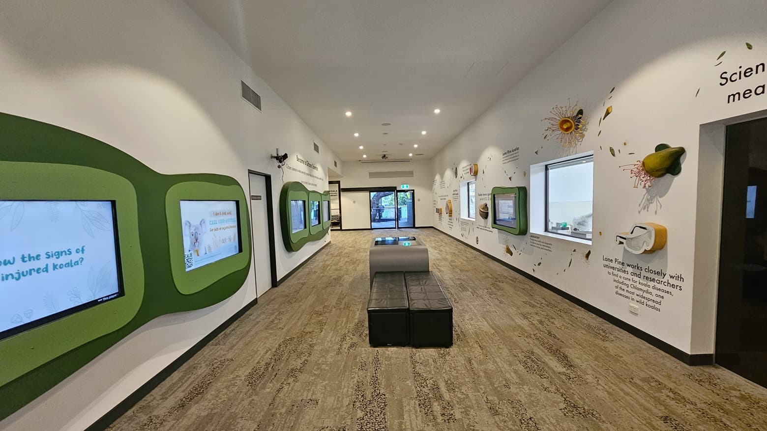 Inside the Brisbane Koala Science Institute. Colorful displays are prominent on most parts of the white walls. The spacious area features brown and cream carpeting. Five digital screens in green wooden frames are prominent on the left and one on the right. Decorative creature motifs are visible near the two glass windows on the right. Bench seatings are situated in the middle.