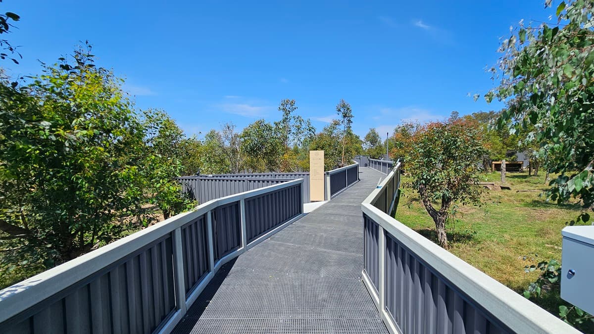 In the center lies a concrete ramp with concrete railings. The ramp splits into two, one turning left, while the other continues straight. Various trees including eucalyptus and grasses flank both sides. Further along, there's a shaded structure.