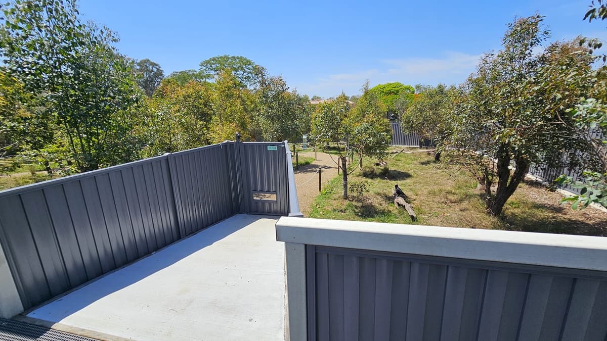 The concrete ramp is fitted with dark grey-painted wooden railings, accompanied by black truncated domes on the left. Various trees encircle the area. On the right, there's a grey fence with a corrugated design.