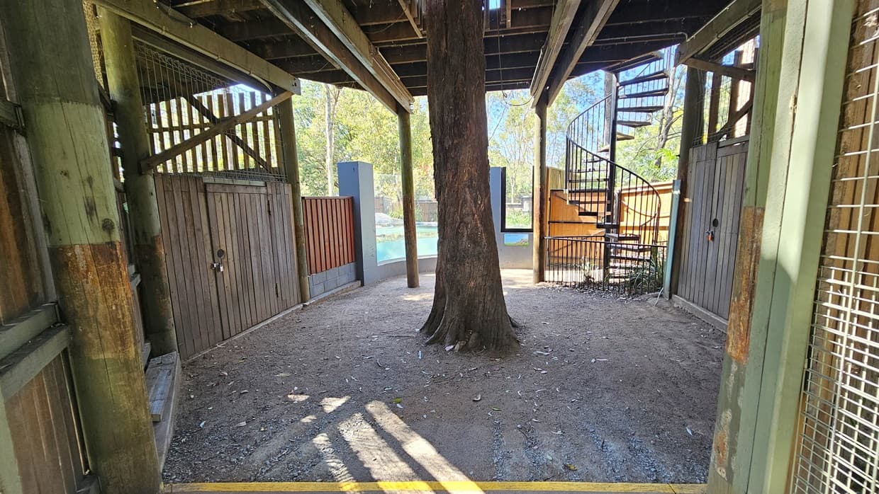 Walkway beneath the Treehouse. A massive tree trunk is situated in the middle, with timber structures noticeable on top. Wooden barriers visibly enclosed the place. A pond is visible onward. Further ahead, a spiral stairs leading above the Treehouse is prominent.