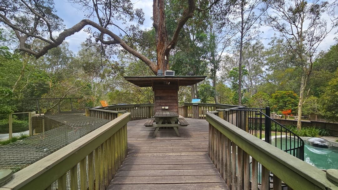 Another angle of the pathway inside the enclosure. A wooden table with two attached benches is prominent near the Treehouse. Behind it, a small timber structure with a wooden roof is situated. Next to the spiral stairs on the right, a man-made pond is apparent. On the left side of the walkway, a narrow steel cage is visible.