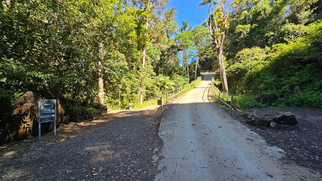 On the left, there is a dirt path leading into a dense forest with various trees and a signboard displaying information. In the middle, there is a concrete path with metal railings on both sides, ascending a hill surrounded by tall trees and greenery. On the right, there is more dense foliage and a large rock near the edge of the path. The floor consists of dirt and concrete, and the ceiling is formed by the canopy of trees overhead.