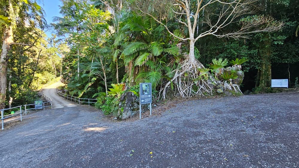 On the left, there is a gravel path with a metal railing leading into a forested area with tall trees and dense foliage. In the middle, there is a large tree with exposed roots and a signboard in front of it, surrounded by various plants. On the right, there is another gravel path with a signboard and more dense vegetation. The floor is covered in gravel, and the ceiling is formed by the canopy of trees overhead.