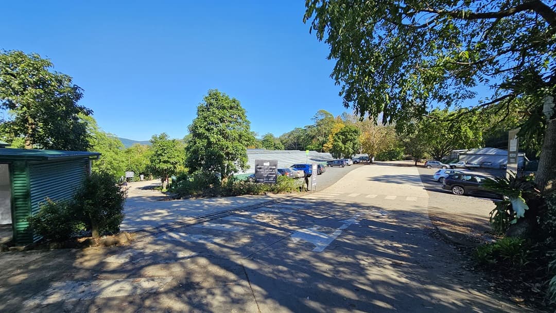 A concrete driveway splits, with one path leading down a slope and the other going straight to a parking area where several vehicles are parked. Signages are positioned along the road. The rooftop of a building is partially visible. On the left, a section of a building with a green corrugated front can be seen. The area is surrounded by trees and shrubs.