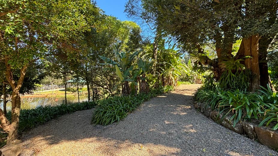 On the left, there is a chain-link fence with a sign that reads "Ducks & Friends" and features images of ducks. In the middle, there is a gate with a "PUSH" sign and a gravel path leading through it. On the right, there is more chain-link fencing and dense foliage, including tall trees and large leafy plants. The background includes additional trees and greenery. The floor is covered with gravel.