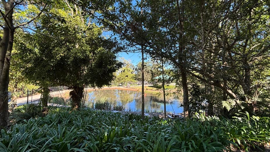 On the left, there are tall trees with dense foliage and a variety of green plants at the base. In the middle, there is a pond with clear water, surrounded by reeds and grasses. On the right, there are more trees with dense foliage and additional green plants at the base. The background includes more trees and a glimpse of a pathway on the far side of the pond. The floor is covered with green plants and the ceiling is formed by the tree canopy.