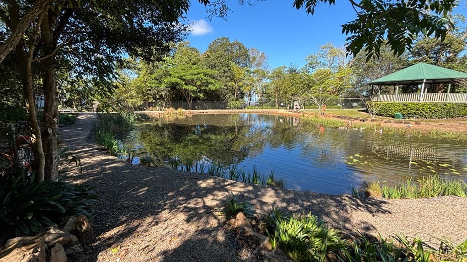 On the left, there are tall trees with dense foliage and a gravel path running alongside them. In the middle, there is a large pond surrounded by reeds and grasses, with a few water lilies floating on the surface. On the right, there is a green gazebo with a green corrugated roof, surrounded by bushes and small plants. The background includes more trees and greenery. The floor is covered with gravel and grass