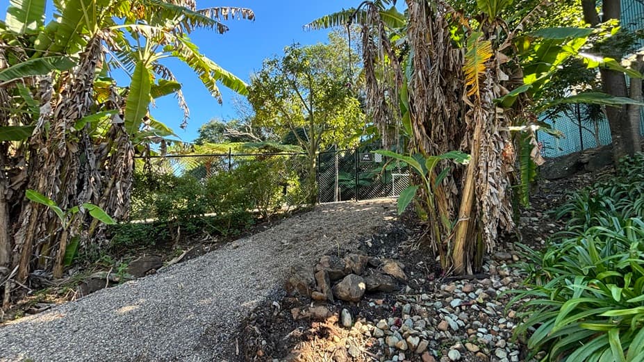 On the left, there are tall banana trees with large leaves and some dried foliage. In the middle, there is a gravel path that slopes upward, bordered by rocks and small plants. On the right, there are more banana trees and dense green foliage. The background includes a chain-link fence and additional trees and a building with a green corrugated facade. The floor is covered with gravel and rocks.