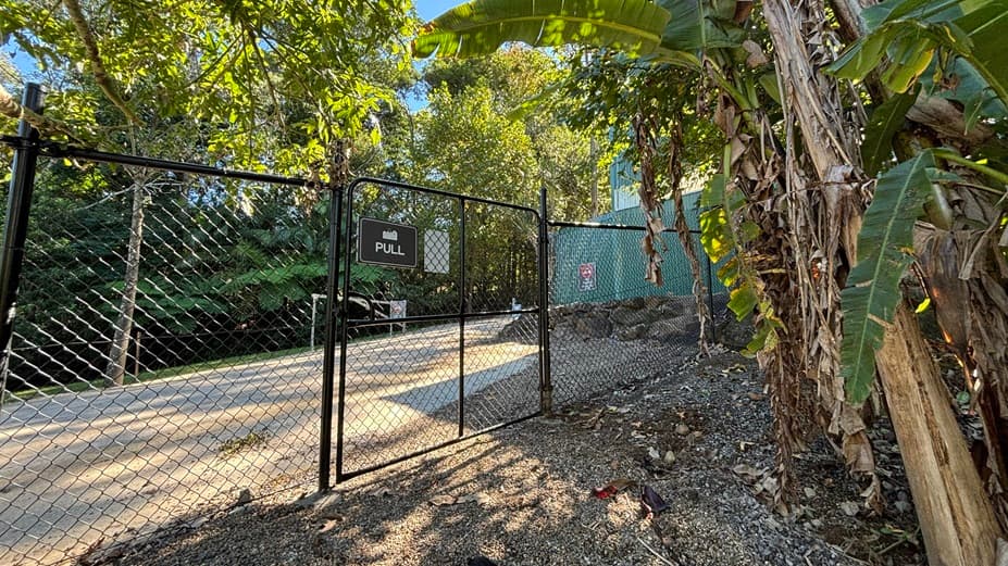 On the left, there is a black chain-link fence with a gate that has a "PULL" sign. Behind the gate, there is a paved path leading into a wooded area with tall trees and dense foliage. In the middle, the gate is open, revealing more of the paved path and trees. On the right, there are banana trees with large green leaves and some dried leaves hanging down. A green corrugated wall is also visible. The floor is covered with gravel and some fallen leaves.