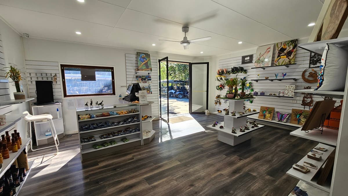 Retail items including local arts, crafts, and gourmet sauces are displayed on racks against the walls and in the centre of a room with dark timber flooring and white brick walls. A reception table is near the entrance, backed by a glass window offering a view outside. A chair sits near the right wall. The white ceiling features a ceiling fan and recessed lighting. To the right, an inward-opening door is equipped with a non-slip mat. Outside, golf buggies and dense greenery are visible.