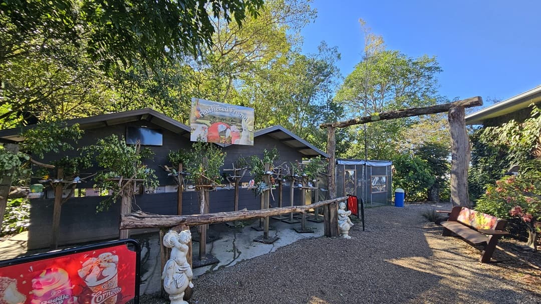 A graveled pathway leads to a low-set building with a double-pitched roof. On the left, wooden structures holding plants are accompanied by two angel figurines and an ice cream banner. A sign reading "Feathered Friends" is mounted on the house roof. To the right, there is a wooden bench adjacent to a garden. In the background, another low-set building and a wooden arch are visible.