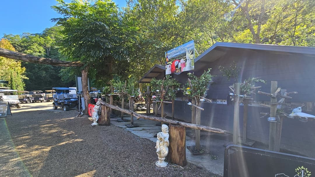 A graveled pathway leads to a parking area with parked golf buggies. To the right stands a low-set building with a double-pitched roof. On the left, wooden structures holding plants are complemented by two angel figurines and an ice cream banner. A sign labelled "Feathered Friends" is mounted on the house roof. Dense trees and lush greenery fill the backdrop.