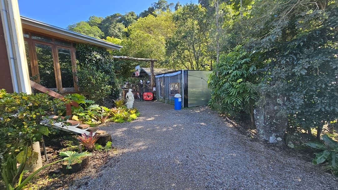 To the left, a low-set building features a large glass window and wooden stairs with handrails. In front, gardens, vines, and figurines are arranged, alongside a rubbish bin and signages. To the right, greenery borders a pathway leading to a fenced area. Tall trees fill the backdrop, enhancing the scene.
