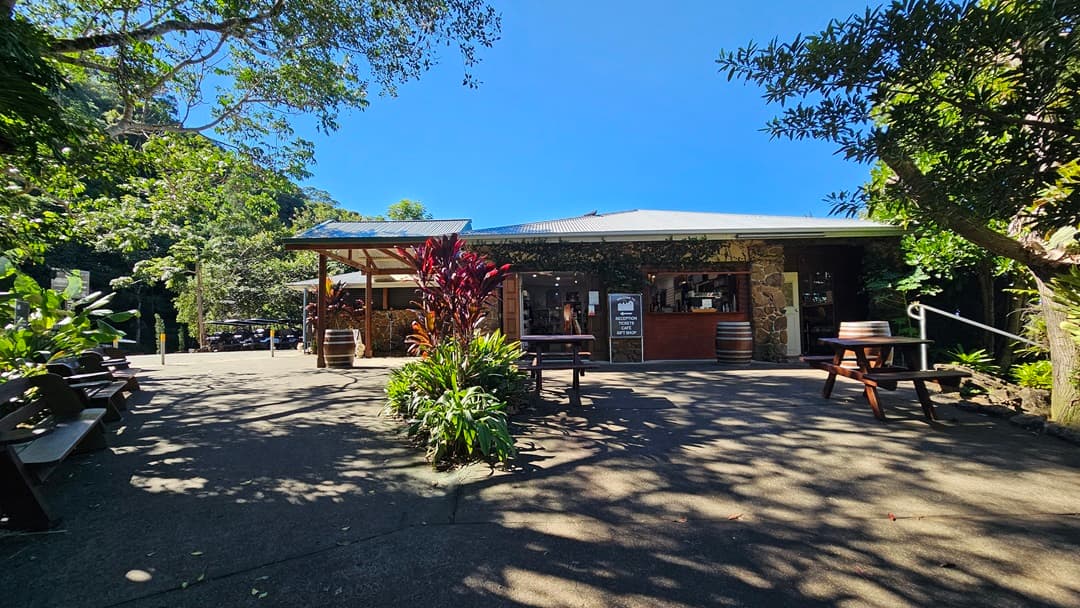 On the left, there are wooden benches and lush green plants, including a large tree casting shadows on the ground. In the middle, there is a building with a stone facade, a wooden counter, and a sign listing reception, tickets, café, and gift shop. The background features more trees and plants. On the right, there are additional benches, a wooden barrel, and a handrail leading to the building. The floor is concrete, and the ceiling of the building is light grey with an overhang.