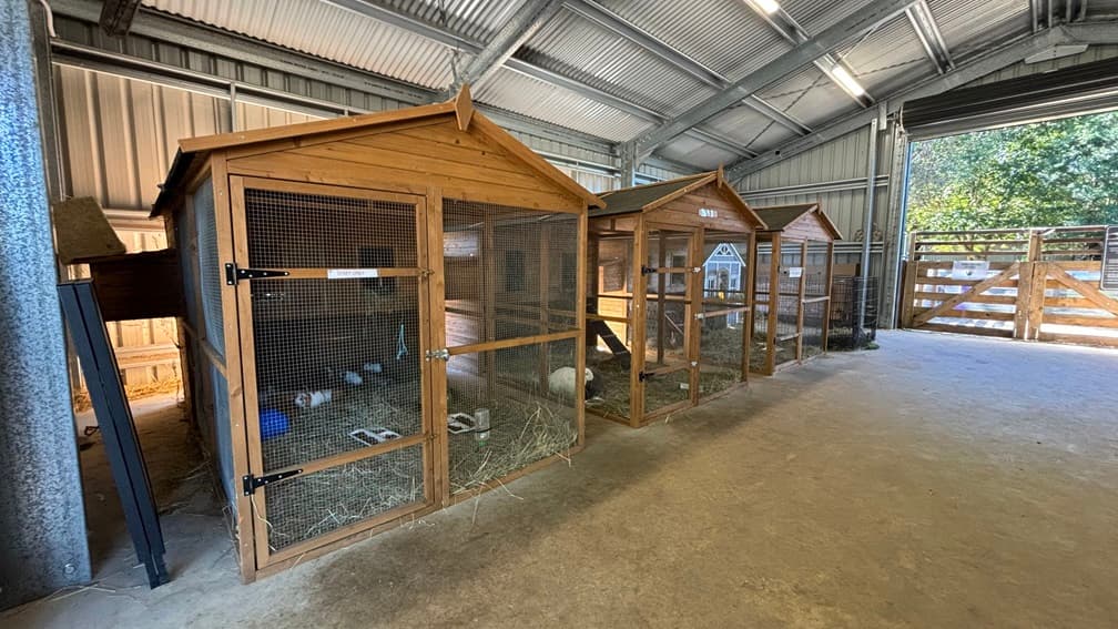 On the left, there are wooden animal enclosures with mesh doors, containing hay and feeding bowls. In the middle, there are more similar enclosures, each with pitched roofs and mesh doors, housing small animals. On the right, there is a large wooden gate leading outside, with trees and greenery visible beyond. The floor is concrete, and the ceiling is made of corrugated metal with exposed beams.
