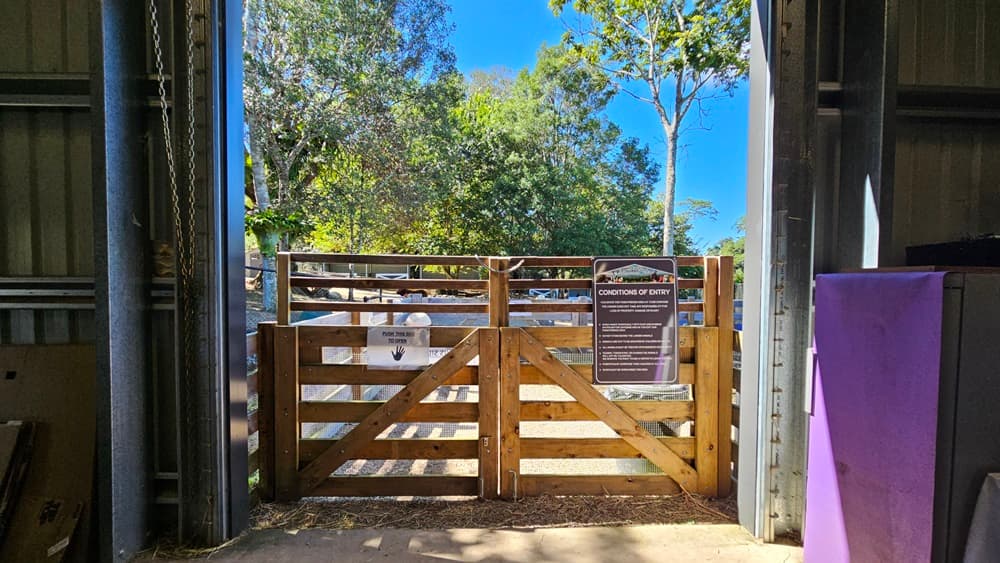 On the left, there is a metal wall with vertical ridges and a grey pipe running alongside it. In the middle, there is a wooden gate with horizontal slats, featuring two signs: one with entry conditions and another indicating a direction. Beyond the gate, there are trees with dense foliage. On the right, there is a purple structure and another metal wall. The floor is concrete, and there is no visible ceiling.