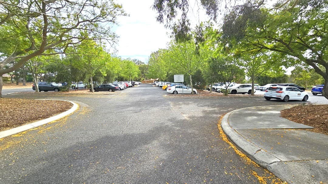 The car park road has rows of parking spaces, all under the shade of trees. Various cars, in different shades and models, occupy the parking area. To the right, there is a curb with the road turning right. To the left, there is another curb with the road turning left towards the other section of the car park.