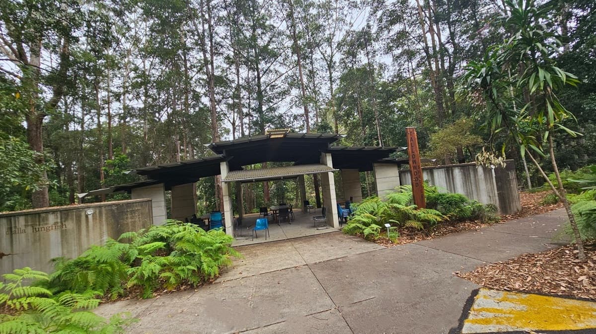 A forested area with dense trees in the background. On the left, a structure with a flat roof and open sides is partially visible, surrounded by lush ferns and greenery. In the foreground, a paved path with a blue disabled parking symbol and yellow markings is covered with scattered leaves. The right side features more dense foliage and tall plants.