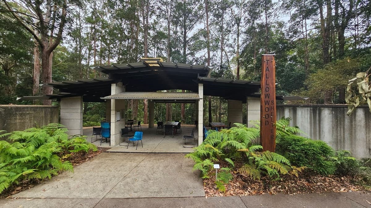 A sheltered picnic area surrounded by tall trees and dense foliage. The structure has a dark roof and light green pillars, with tables and chairs underneath. On the right, a wooden post reads "TALLOWWOOD SHELTER." Ferns and other greenery are in the foreground, with a concrete path leading to the shelter. The background is filled with tall trees, creating a natural, wooded setting.