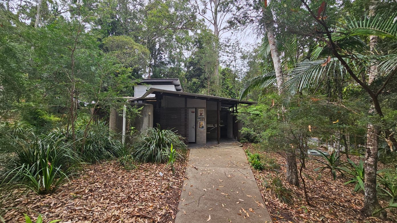 A small, modern building with a flat roof is surrounded by dense greenery. The structure is made of dark materials, with a door in the centre and posters on the wall. A concrete path leads to the entrance, bordered by fallen leaves and various plants. Tall trees and lush foliage envelop the area, creating a secluded atmosphere.