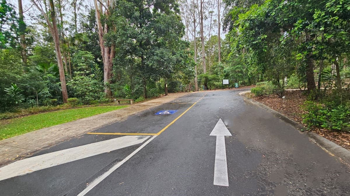 A paved road with a white arrow pointing forward and a marked disabled parking space on the left. The road is bordered by lush green trees and bushes on both sides. A small bench is visible on the left near the grass. In the background, there are signs among the trees, indicating a possible entrance or information area. The ground is scattered with fallen leaves.