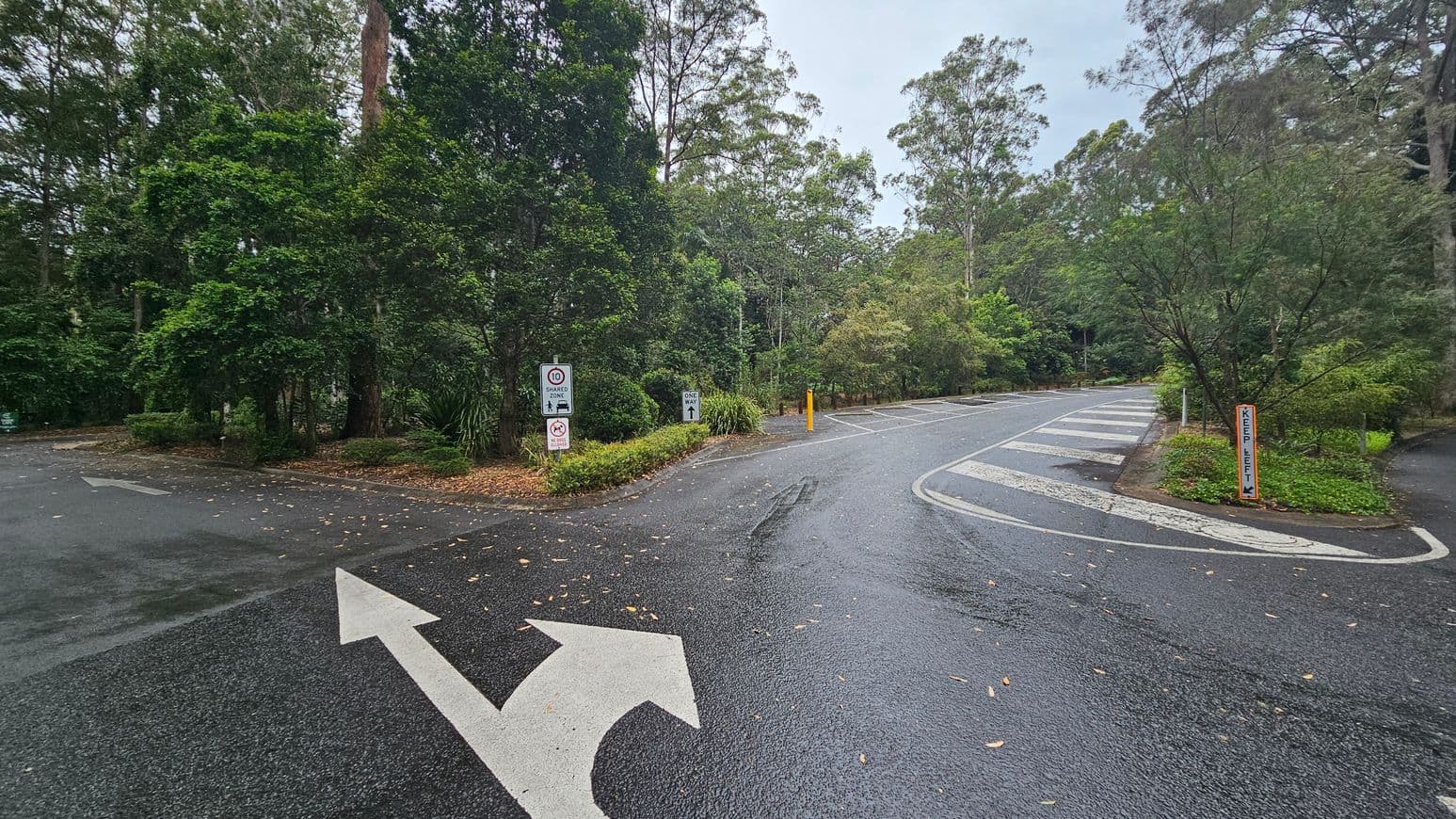 A road junction in a forested area with lush green trees on both sides. The road is wet, suggesting recent rain. On the left, there are signs indicating a speed limit of 10 and a shared zone. On the right, a sign instructs to "Keep Left." The road splits into two directions, with arrows painted on the asphalt. The background is filled with dense foliage, and the road curves gently to the right.