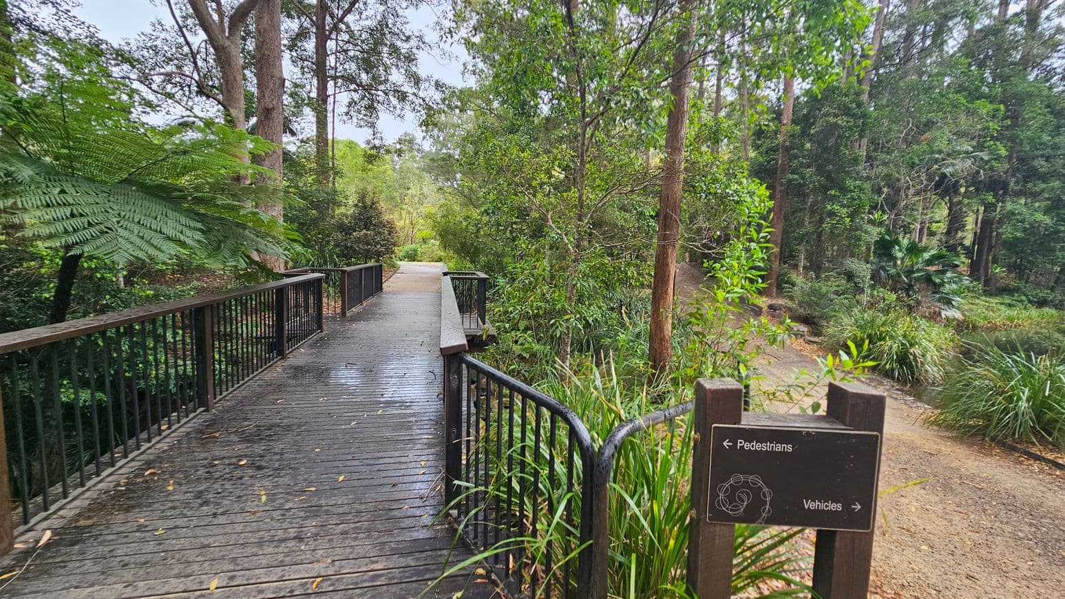 A wooden bridge with black railings extends from the left to the centre, surrounded by lush greenery. On the right, a dirt path leads into the forest, with a signpost indicating directions for pedestrians and vehicles. Tall trees and dense foliage fill the background, creating a serene, natural setting. The ground is covered with leaves and the bridge appears slightly damp.