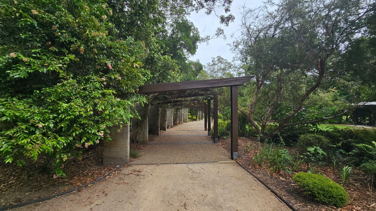 A gravel path leads through a series of wooden pergolas, surrounded by lush greenery. On the left, dense foliage with small flowers covers a brick wall. On the right, various plants and shrubs grow alongside the path, with a large, leaning tree. The pergolas create a tunnel effect, and the ground is scattered with leaves.