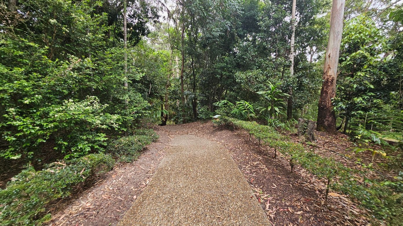 A narrow gravel path winds through a dense forest. On the left, lush green bushes and trees create a thick wall of foliage. On the right, a tall tree with a textured trunk stands among other greenery. The ground is covered with fallen leaves, and the path is bordered by low hedges. In the background, more trees and undergrowth fill the scene, creating a secluded, natural environment.