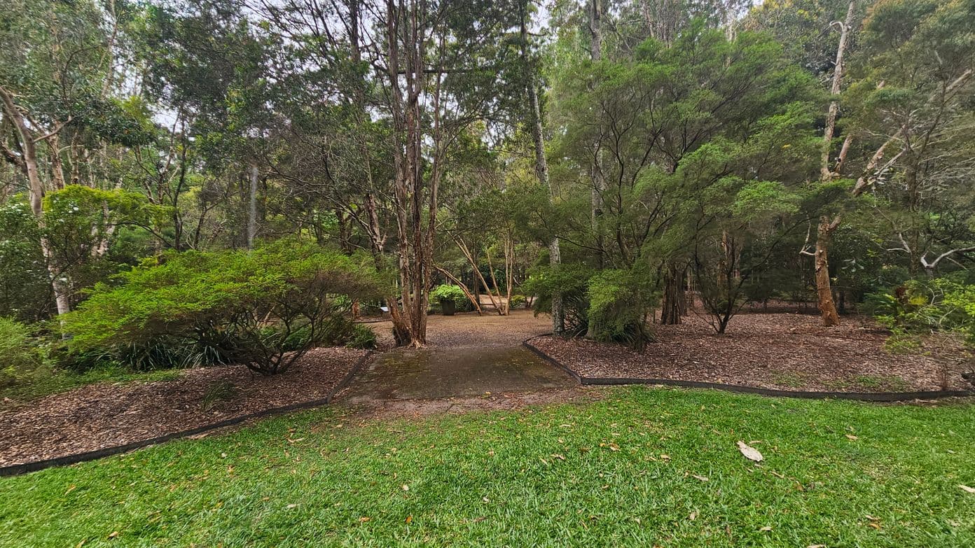 A lush garden scene with a grassy foreground leading to a dirt path in the centre. The path is bordered by low, dark edging and surrounded by dense greenery, including various trees and shrubs. The background is filled with tall trees, their trunks and branches intermingling, creating a canopy of leaves. The ground is covered with fallen leaves and mulch, adding texture to the scene.
