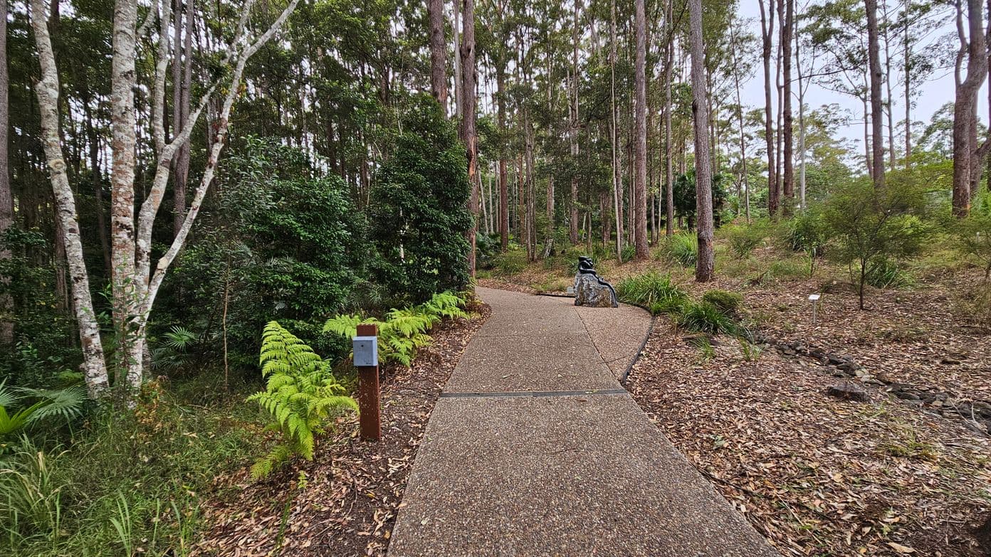 A winding concrete path leads through a dense forest with tall, slender trees on both sides. On the left, there are lush green ferns and a small post with a sign. On the right, the ground is covered with dry leaves and sparse undergrowth. In the distance, a sculpture or seating area is visible on the path. The forest is thick with greenery, creating a serene and natural atmosphere.