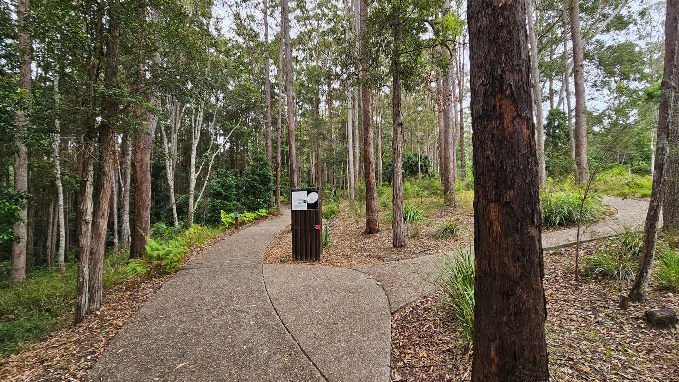 A forest scene with a paved path splitting into two directions. On the left, the path curves gently, bordered by dense trees and ferns. In the centre, a signpost stands with a white sign attached. On the right, the path curves away, surrounded by tall trees and scattered undergrowth. The ground is covered with fallen leaves and the trees are tall and slender, creating a canopy overhead.