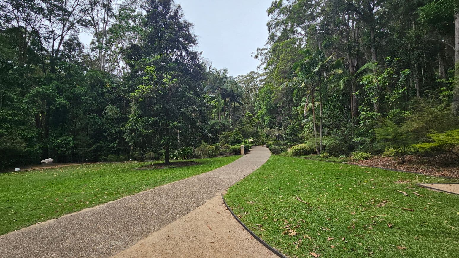 A winding path runs through a lush garden. On the left, there are dense trees and a grassy area with a few scattered leaves. On the right, tall palm trees and various shrubs line the path, creating a dense, green backdrop. The path is bordered by well-maintained grass, and the area is surrounded by a variety of trees and plants, giving a sense of a tranquil, natural setting.