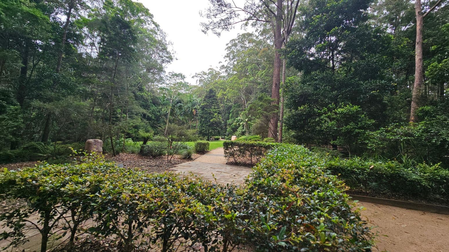 A lush garden scene with a stone pathway in the centre leading into the distance. Dense green foliage and tall trees surround the path on both sides. In the foreground, neatly trimmed hedges line the path. The background features a variety of trees, including some with large leaves, creating a dense canopy. The ground is covered with a mix of grass and fallen leaves.