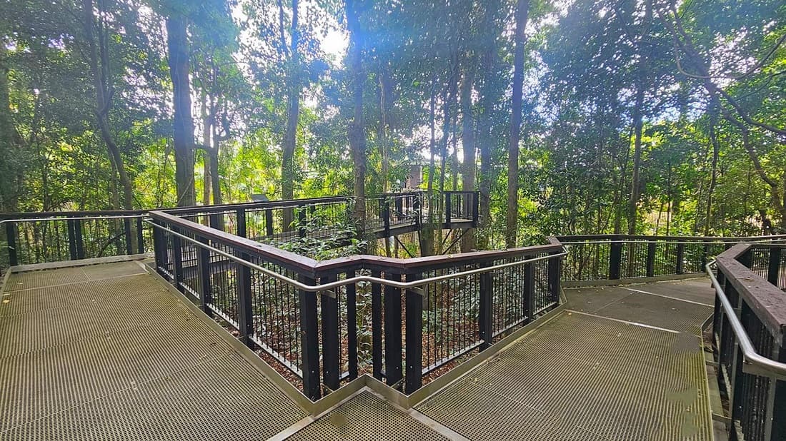 A metal walkway with railings winds through a dense forest. The path is elevated, allowing a view of the tall trees surrounding it. Sunlight filters through the leaves, creating dappled light on the walkway. The forest floor is covered with foliage, and the trees are lush and green. The walkway has a zigzag pattern, providing multiple viewing angles of the forest.