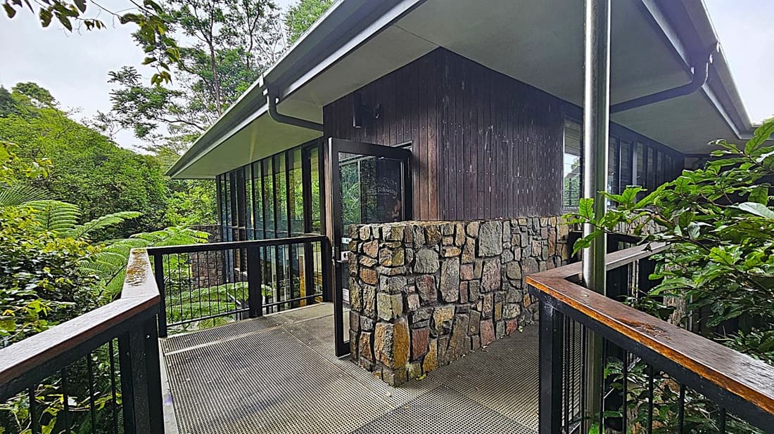 A modern building with a dark wooden exterior and large glass windows is surrounded by lush greenery. A stone wall is adjacent to the entrance, which is accessed via a metal walkway with a wooden handrail. The roof has a slight overhang with visible gutters. Dense foliage, including ferns and various plants, frames the scene, creating a natural, secluded atmosphere.