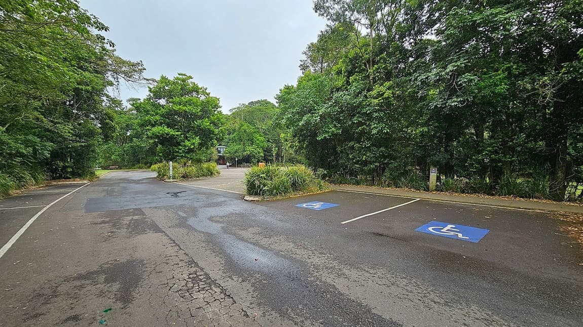 A paved parking area with two marked disabled parking spaces on the right. The surface shows signs of wear with some cracks and patches. Dense green foliage and trees surround the area on both sides, creating a natural border. In the background, a path leads further into the greenery, with a small structure visible in the distance. The scene is quiet and appears to be in a park or nature reserve.