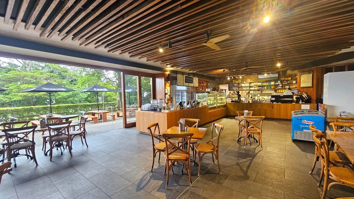 A café interior with wooden tables and chairs on a tiled floor. The ceiling features wooden slats with recessed lighting. On the right, there's a counter with a display case and coffee machines. A blue ice cream freezer is nearby. Large windows on the left open to an outdoor seating area with wooden benches and black umbrellas. Lush greenery is visible outside.