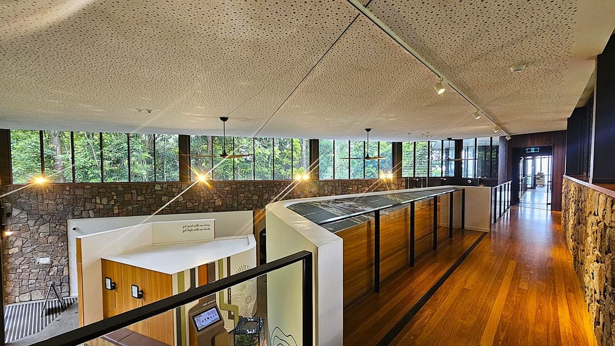 Interior of a modern building with a wooden floor and a perforated ceiling. On the left, a stone wall with large windows reveals a view of lush greenery outside. In the centre, a curved white and wood structure with display screens. Hanging lights illuminate the space. On the right, a corridor leads to a glass door.