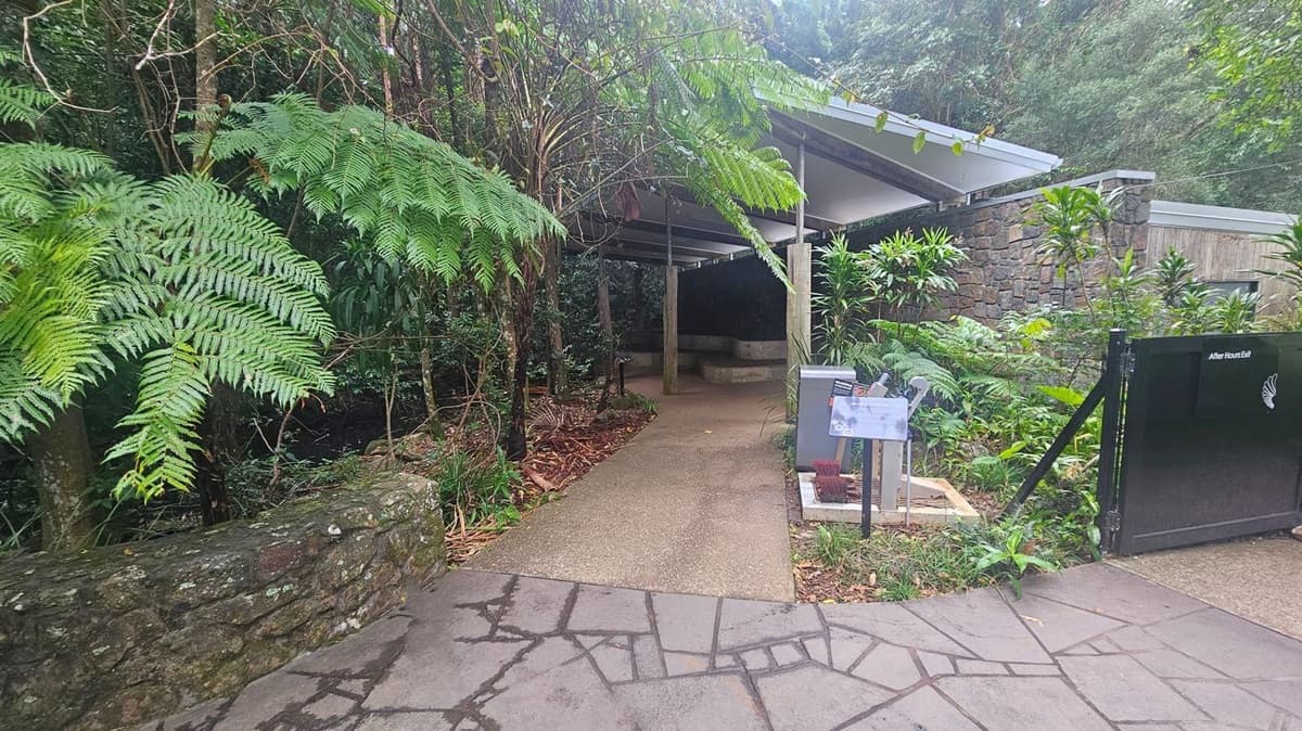 A pathway leads through a lush, green area with large ferns on the left. The path is bordered by a low stone wall. On the right, there's a black gate with a sign reading "After Hours Exit" and a small information board. In the background, a structure with a slanted roof and stone walls is partially visible, surrounded by dense foliage. The ground is a mix of stone and concrete paving.